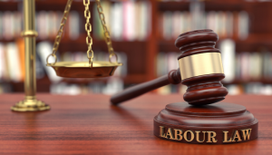Employment & labor law